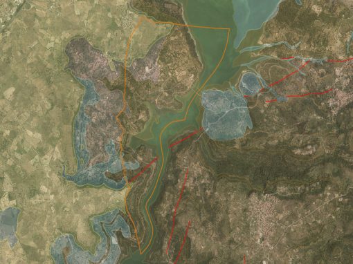 Carta geologica